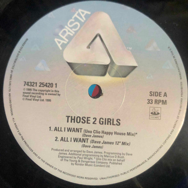Those 2 Girls : All I Want (12", Single)