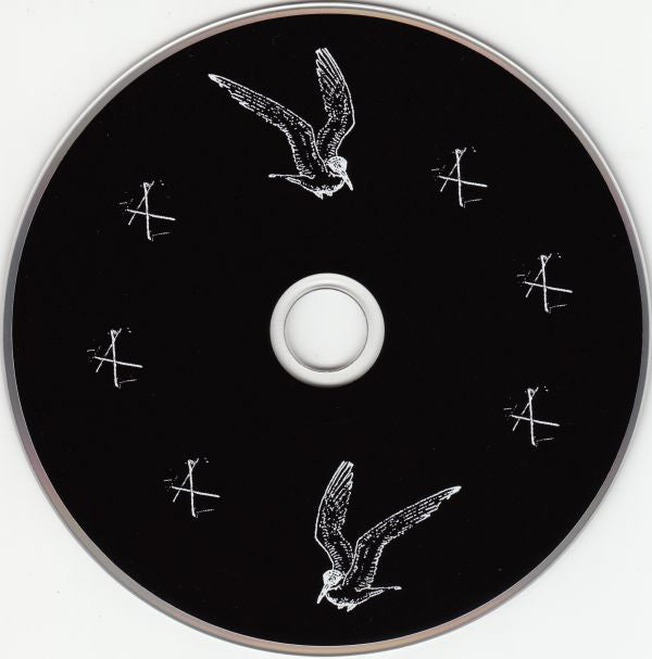 Patrick Wolf : Wind In The Wires (CD, Album)