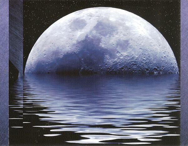 Vladimir Ashkenazy - Ludwig van Beethoven : Moonlight Sonata, Appassionata Sonata, Pathétique Sonata (CD, Comp)
