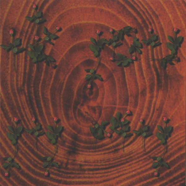 Van Dik Hout : Ik Jou & Jij Mij (CD, Album)