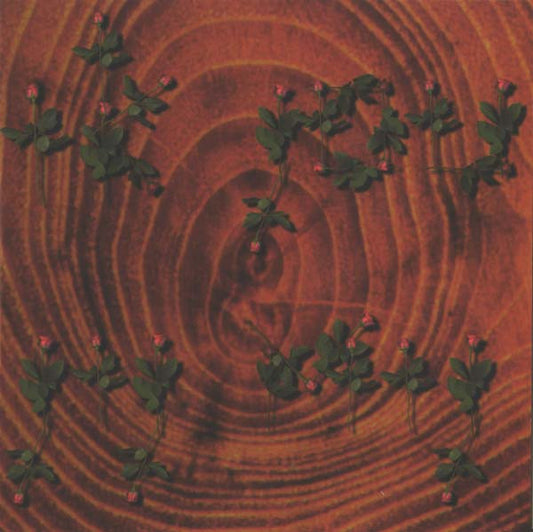 Van Dik Hout : Ik Jou & Jij Mij (CD, Album)