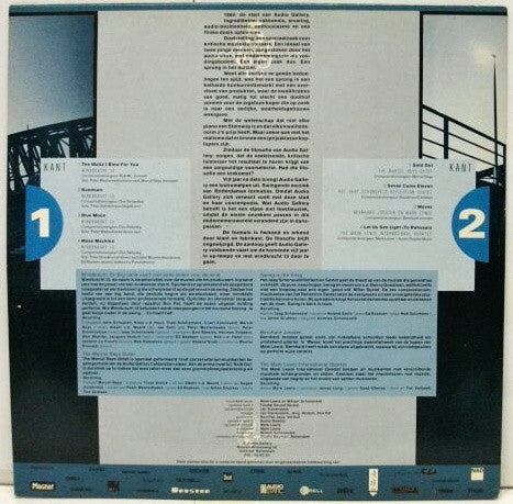 Various : Audio Gallery Celebration 1980 - 1985 (LP, Comp)
