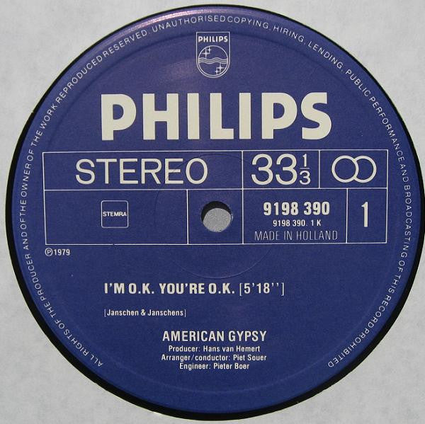 American Gypsy : I'm O.K. You're O.K. (12", Maxi)