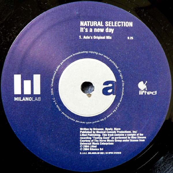 Natural Selection (2) : It's A New Day (12")