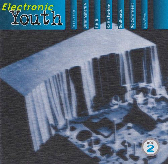 Various : Electronic Youth Vol.2 (CD, Comp)
