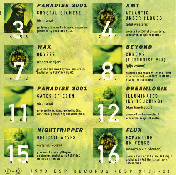 Various : The Ambient Groove - ESP Volume 3 (Future Soundscapes For The 2010 Generation) (CD, Comp)