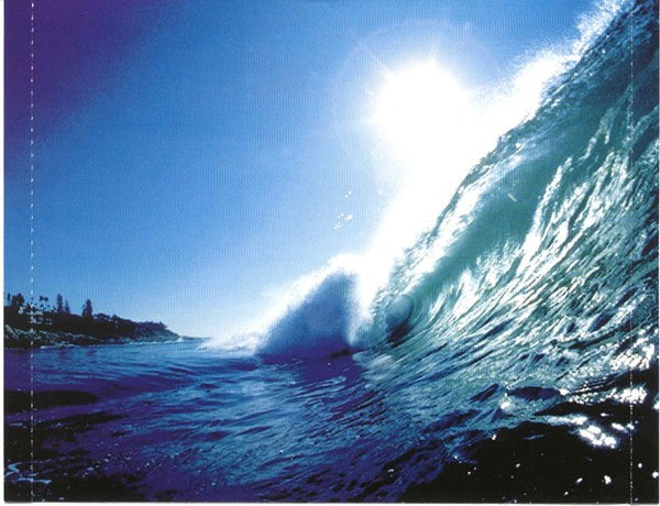 Various : Forbidden Paradise 9 -Waves- (CD, Comp, Mixed)