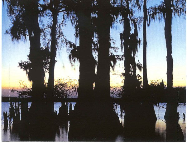 Various : Forbidden Paradise 8 - Mystic Swamp (CD, Comp, Mixed)