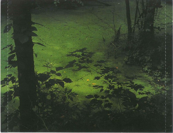 Various : Forbidden Paradise 7 - Deep Forest (CD, Comp, Mixed, Col)