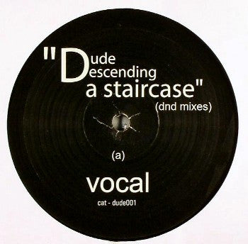 Apollo 440 : Dude Descending A Staircase (dnd Mixes) (12")