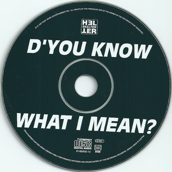 Oasis (2) : D'You Know What I Mean? (CD, Maxi, Dig)
