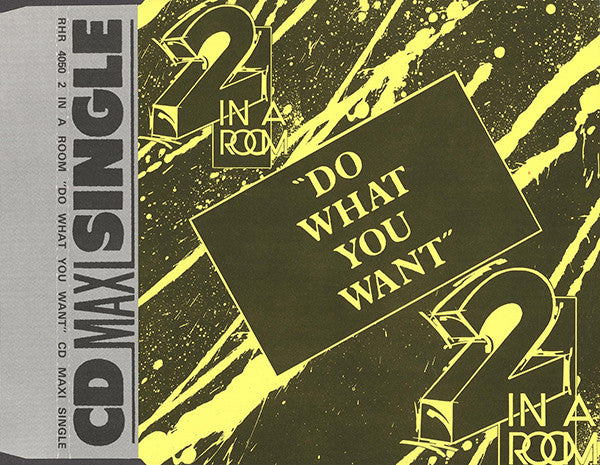 2 In A Room : Do What You Want (CD, Maxi)