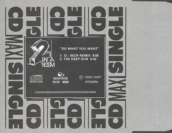 2 In A Room : Do What You Want (CD, Maxi)