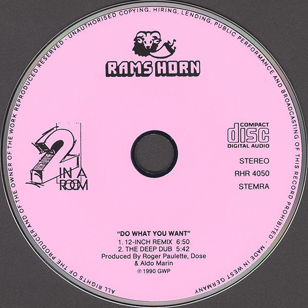 2 In A Room : Do What You Want (CD, Maxi)