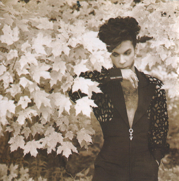 Prince : The Hits 1 (CD, Comp, RE)
