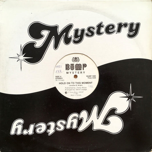 Mystery (2) : Hold On To This Moment (12", Maxi)