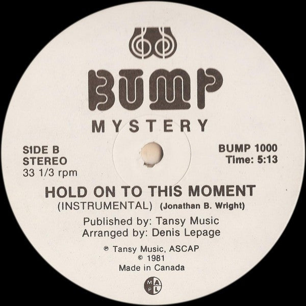 Mystery (2) : Hold On To This Moment (12", Maxi)