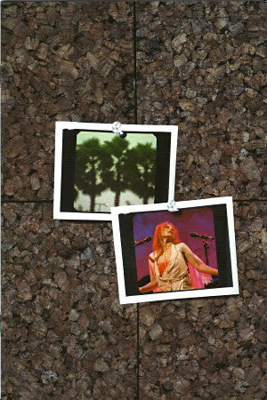 Tori Amos : Welcome To Sunny Florida (DVD-V, PAL + CD)