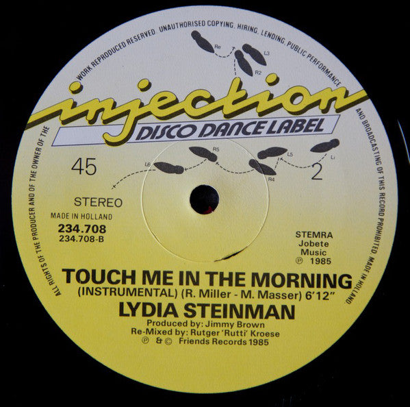 Lydia Steinman : Touch Me In The Morning (12")