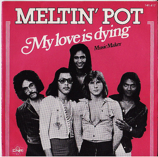 Meltin' Pot : My Love Is Dying (7", Single)