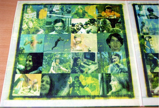 Boards Of Canada : The Campfire Headphase (2xLP, Album)
