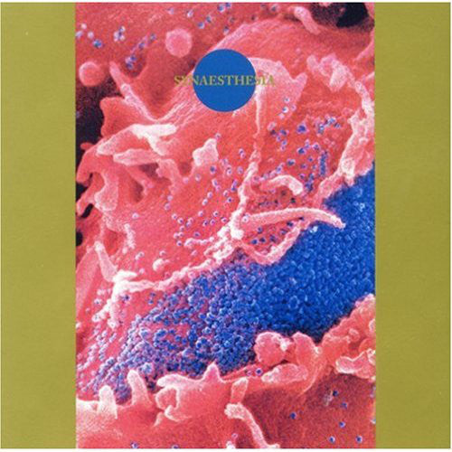 Death Ambient : Synæsthesia (CD, Album)
