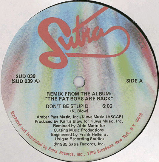 Fat Boys : Don't Be Stupid (Remix) / Fat Boys Scratch (Remix) (12")