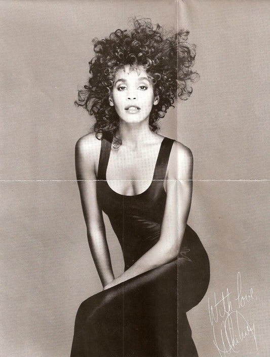 Whitney Houston : Whitney (CD, Album)