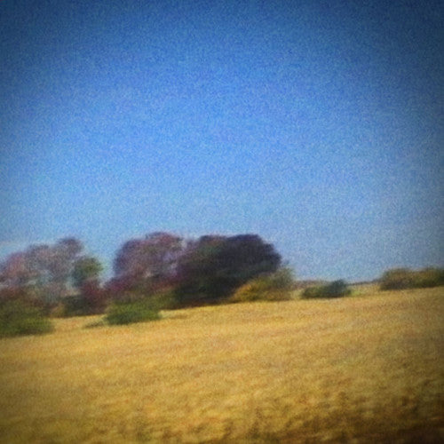 Sun Kil Moon : Benji (CD, Album)
