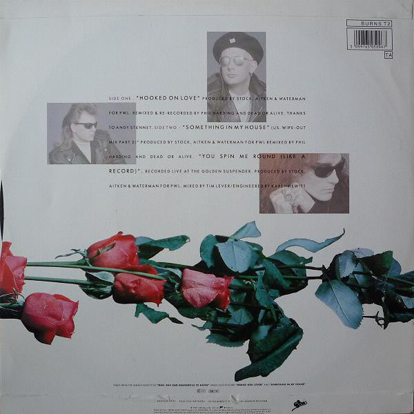 Dead Or Alive : Hooked On Love (12", Single)