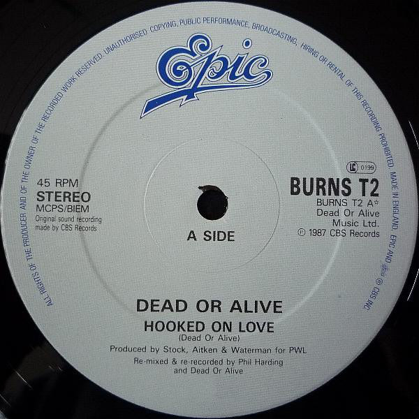Dead Or Alive : Hooked On Love (12", Single)