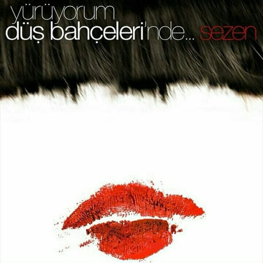 Sezen Aksu : Yürüyorum Düş Bahçeleri'nde... (Box + 2xCD, Album + DVD-V)