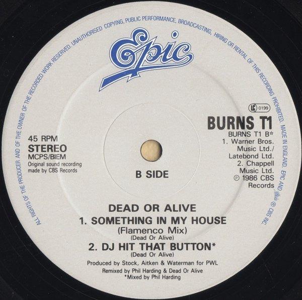 Dead Or Alive : Something In My House (Mortevicar Mix) (12", Single)