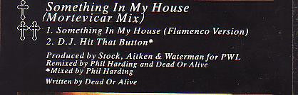 Dead Or Alive : Something In My House (Mortevicar Mix) (12", Single)