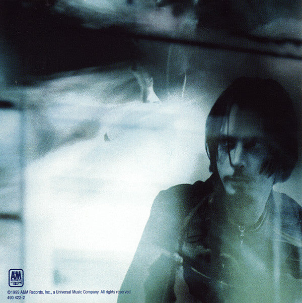 Chris Cornell : Euphoria Morning (CD, Album, RP)