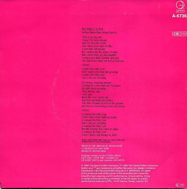 Jennifer Holliday : No Frills Love (7", Single)