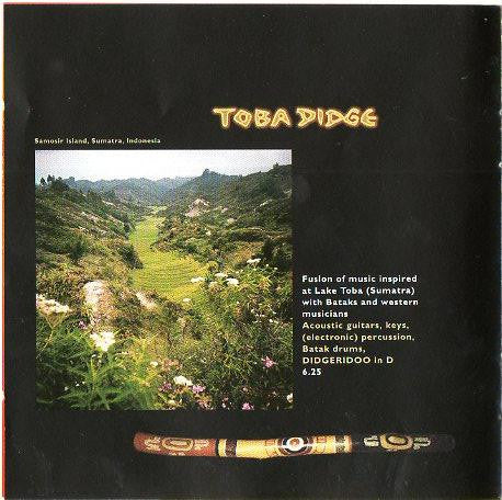 Hermann Delago : Gado Gado (CD, Album)