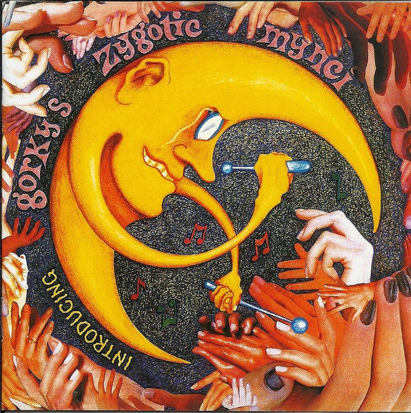 Gorky's Zygotic Mynci : Introducing (CD, Comp)
