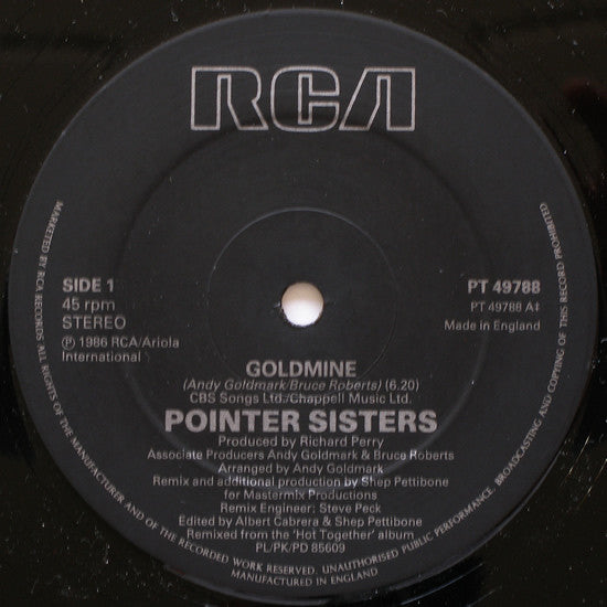 Pointer Sisters : Goldmine (12", Single)