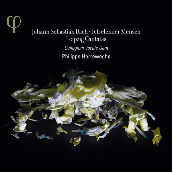 Johann Sebastian Bach, Collegium Vocale, Philippe Herreweghe : Ich Elender Mensch - Leipzig Cantatas (CD, Album)