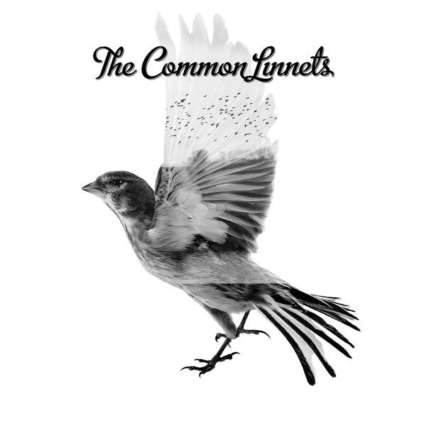 The Common Linnets : The Common Linnets (CD, Album + DVD-V + Dlx, Ltd)