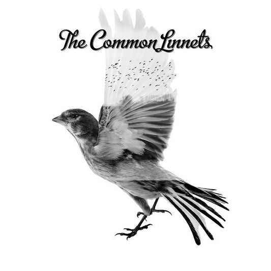 The Common Linnets : The Common Linnets (CD, Album + DVD-V + Dlx, Ltd)