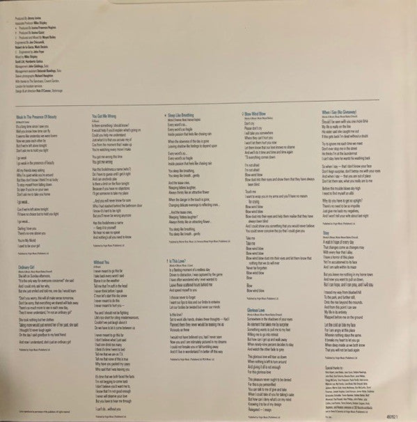 Alison Moyet : Raindancing (LP, Album)