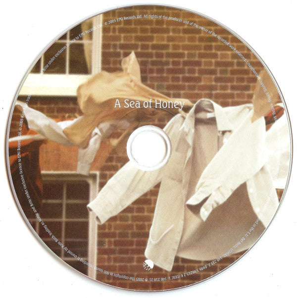 Kate Bush : Aerial (2xCD, Album, Car)