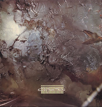 Cocteau Twins : Head Over Heels (LP, Album)