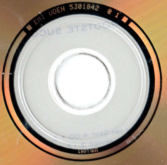 Rob de Nijs : Verzameld (Zijn Grootste Successen) (CD, Comp)