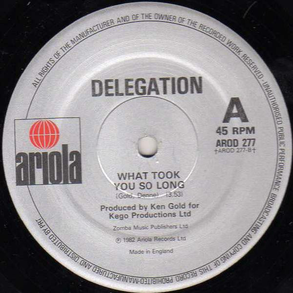 Delegation : Gonna Bring The House Down / What Took You So Long (12")
