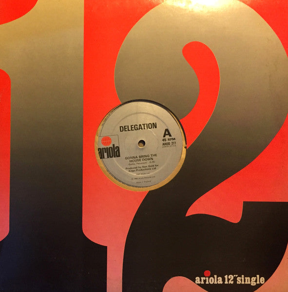 Delegation : Gonna Bring The House Down / What Took You So Long (12")