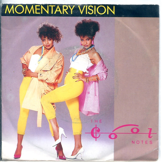 The Cool Notes : Momentary Vision (7", Single)