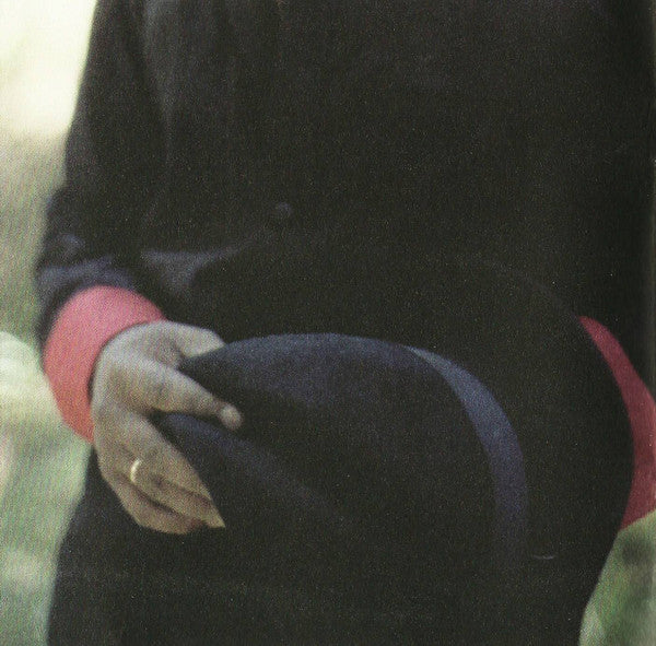 Daniel Lemma And The Cherry Bombs : Meeting At The Building (CD, Album)